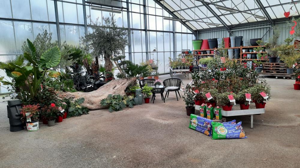 environnement-jardinerie-baron