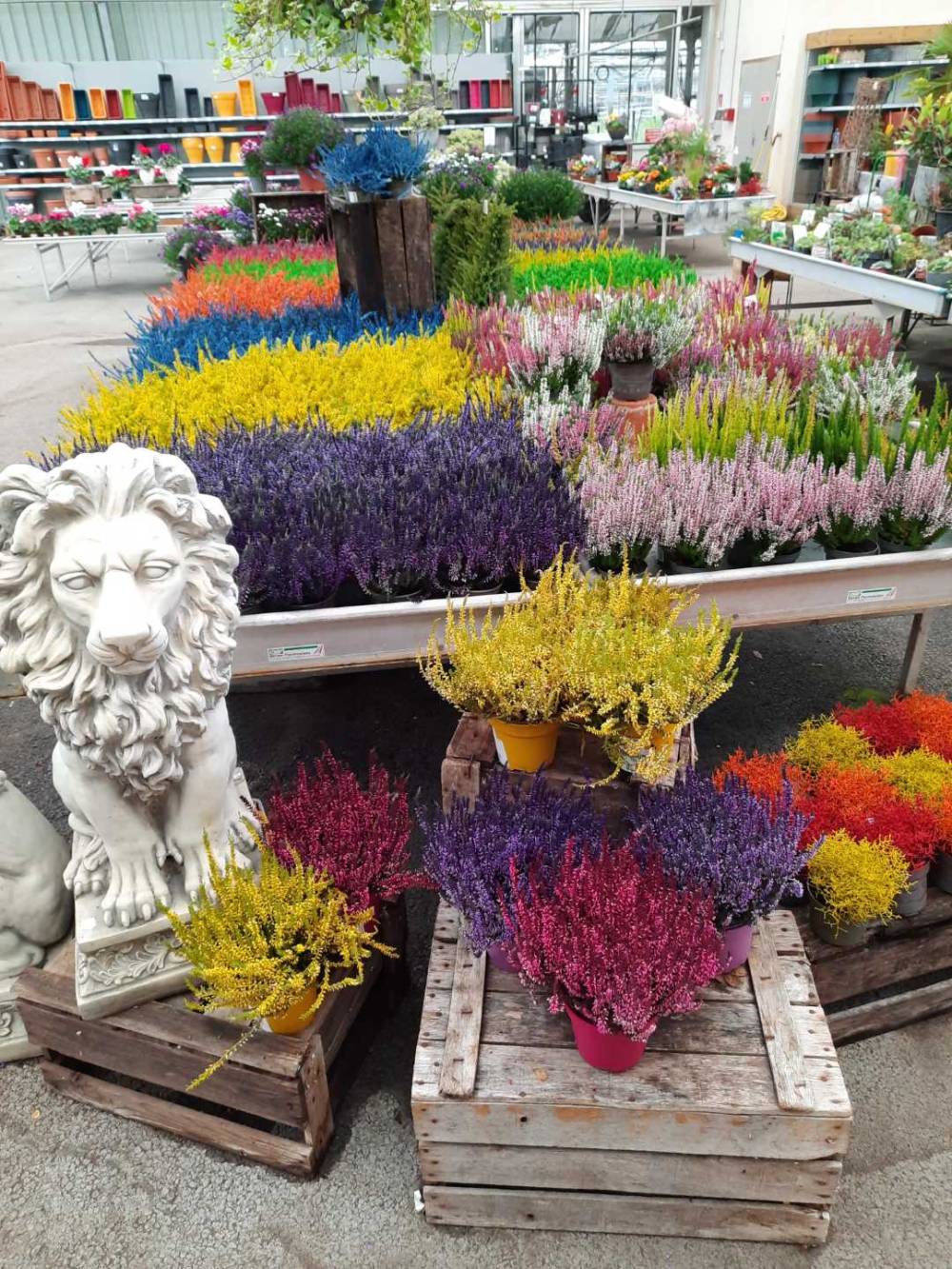 serre-froide-jardinerie-baron