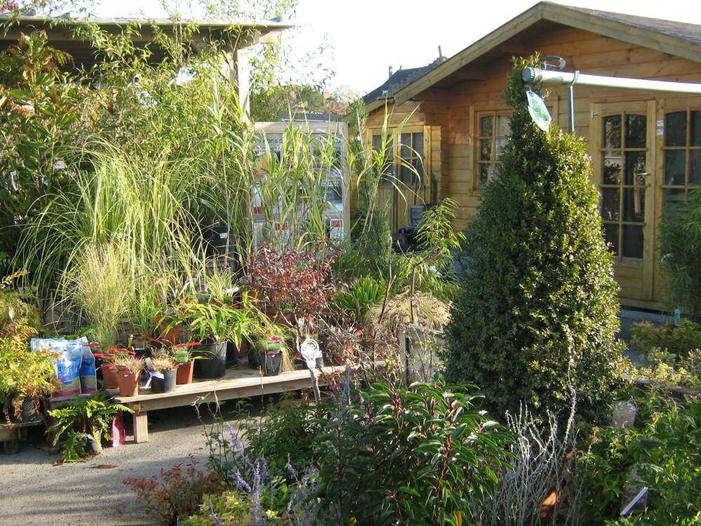 pepiniere-jardinerie-baron