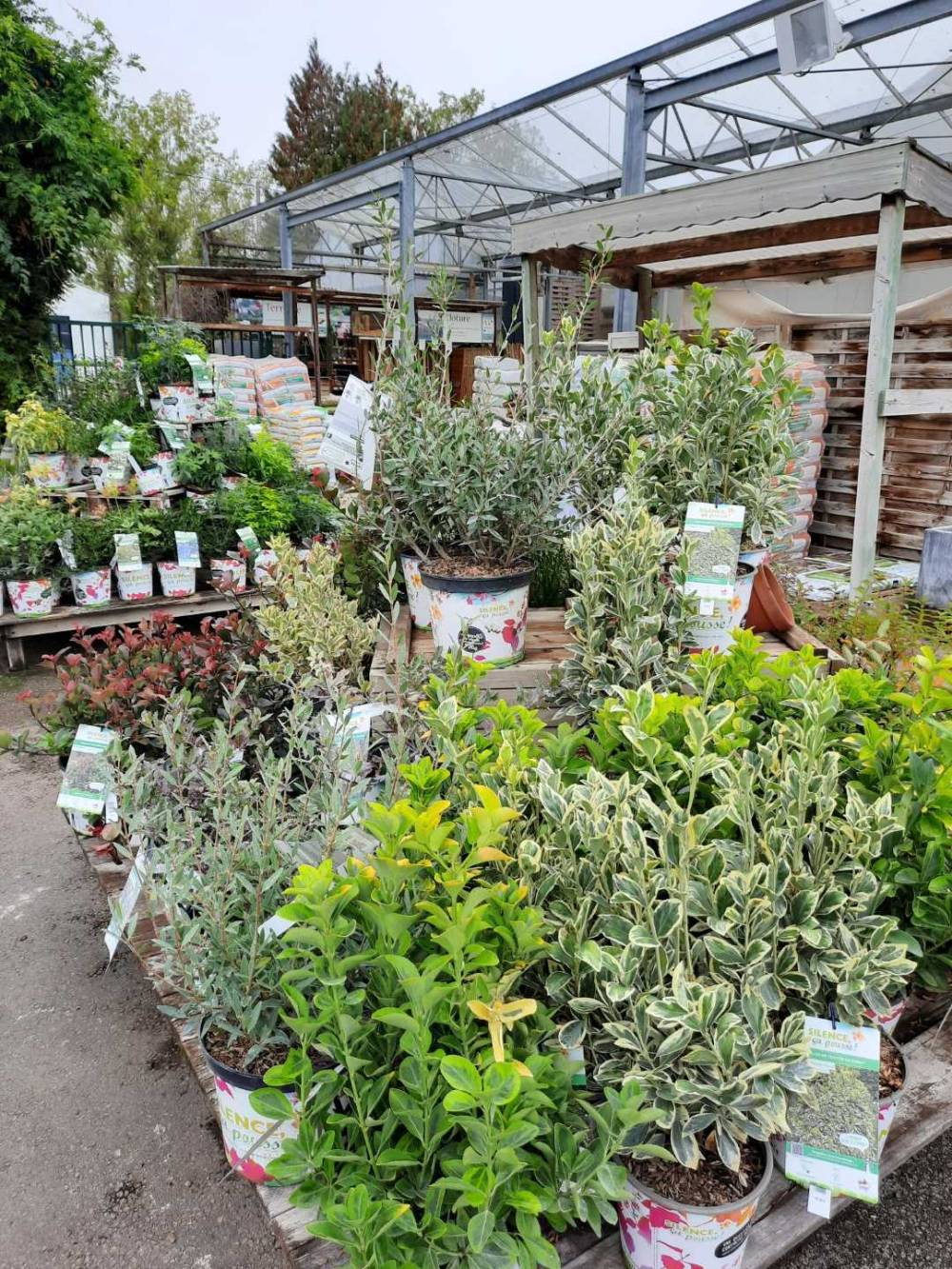 pepinieres-jardinerie-baron