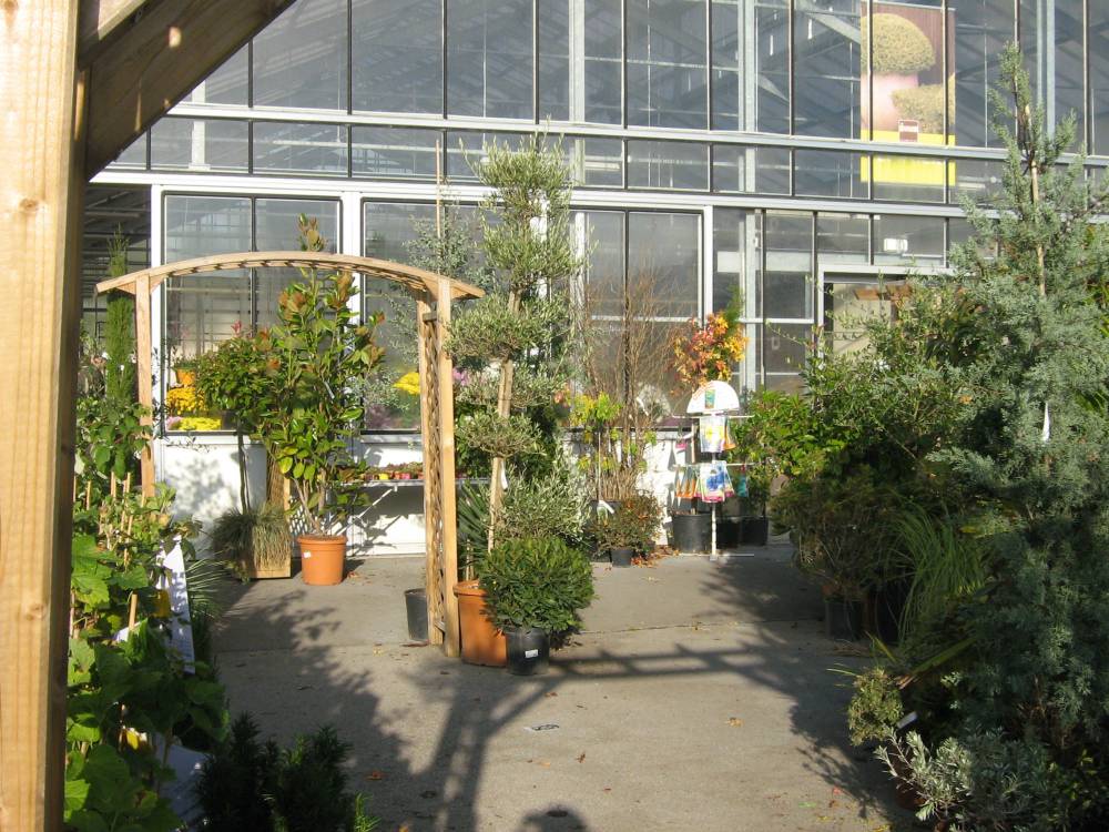 pepiniere-plantes-jardinerie-baron